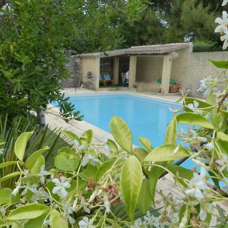 La Quietude De St Antoine - Piscine Privee Villa LʼIsle-sur-la-Sorgue Dış mekan fotoğraf