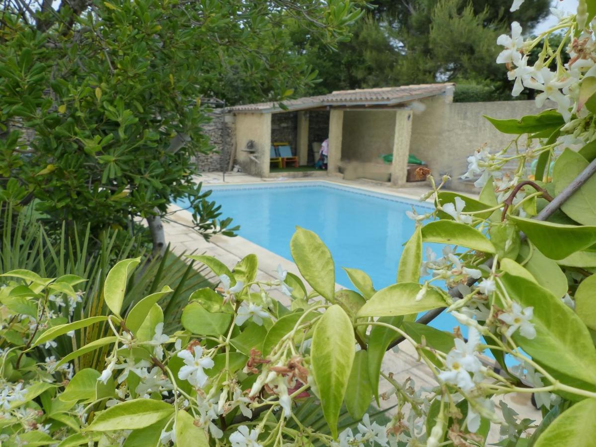La Quietude De St Antoine - Piscine Privee Villa LʼIsle-sur-la-Sorgue Dış mekan fotoğraf
